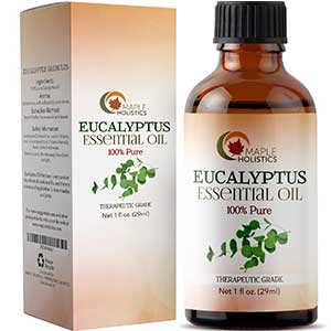 maple holistic's eucalyptus essential oil